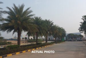 plots-in-yamuna-expressway-6